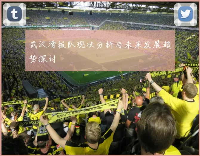 武汉滑板队现状分析与未来发展趋势探讨