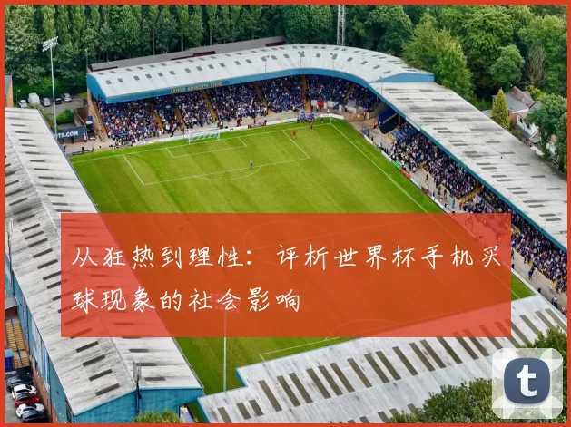 从狂热到理性:评析世界杯手机买球现象的社会影响