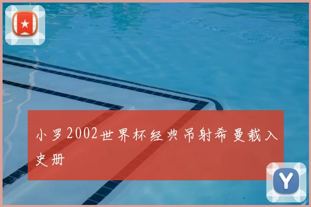 小罗2002世界杯经典吊射希曼载入史册