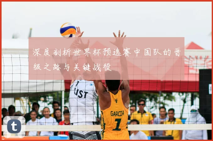 深度剖析世界杯预选赛中国队的晋级之路与关键战役