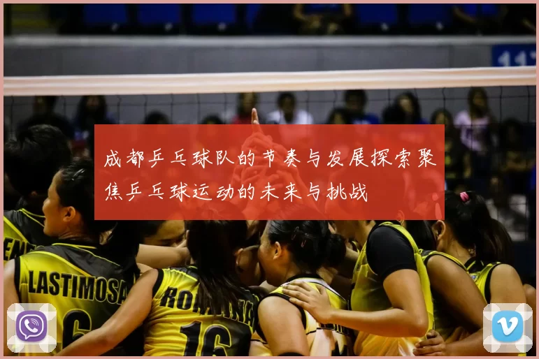 成都乒乓球队的节奏与发展探索聚焦乒乓球运动的未来与挑战