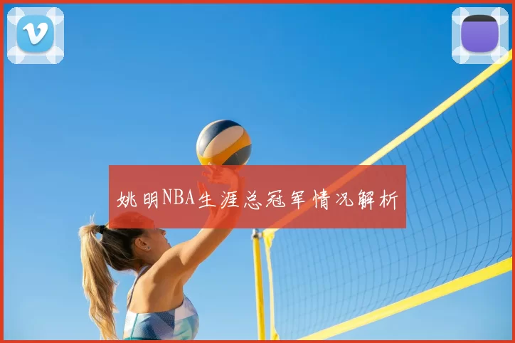姚明NBA生涯总冠军情况解析