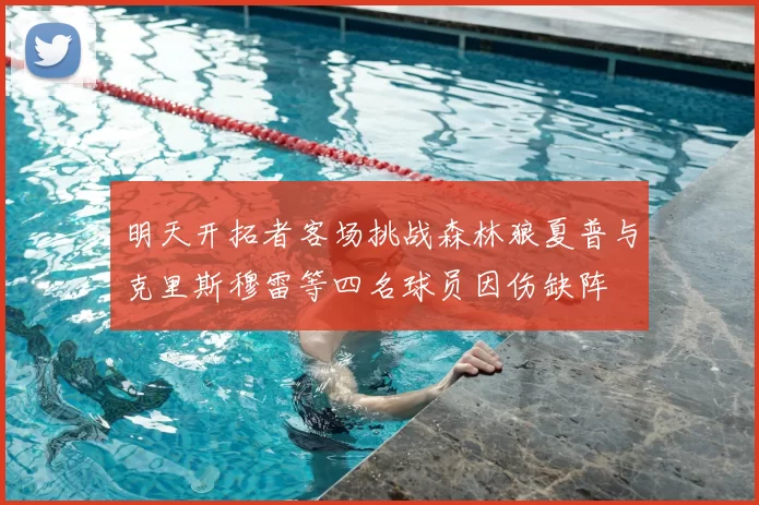 明天开拓者客场挑战森林狼夏普与克里斯穆雷等四名球员因伤缺阵
