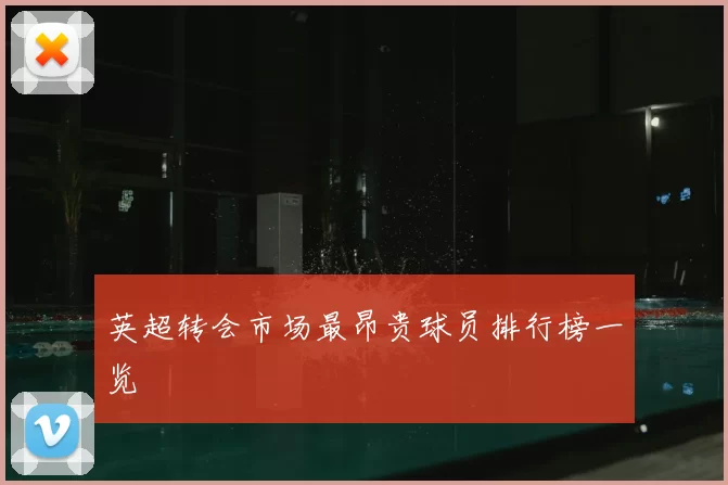 英超转会市场最昂贵球员排行榜一览
