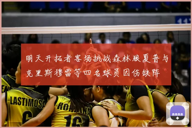 明天开拓者客场挑战森林狼夏普与克里斯穆雷等四名球员因伤缺阵
