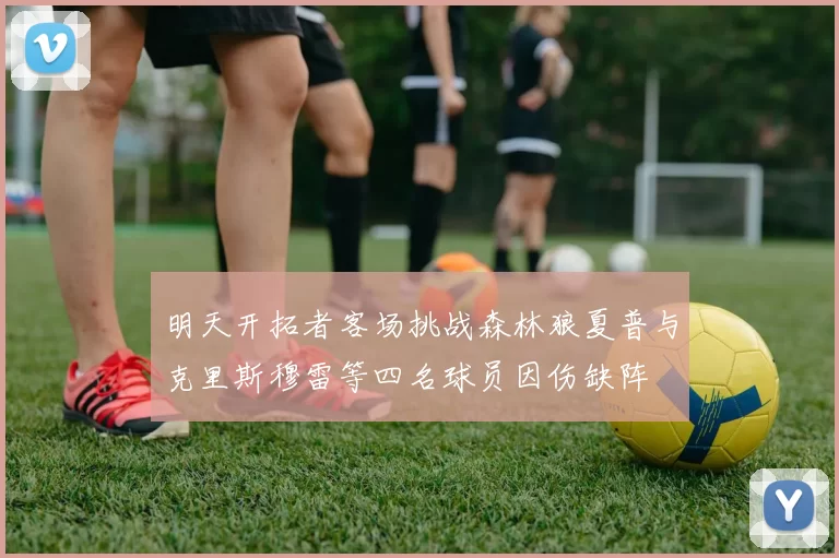 明天开拓者客场挑战森林狼夏普与克里斯穆雷等四名球员因伤缺阵