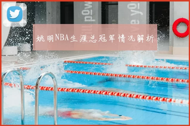 姚明NBA生涯总冠军情况解析