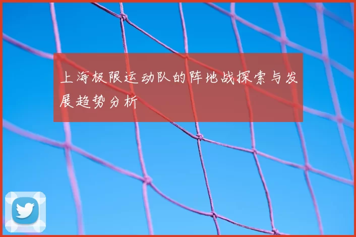 上海极限运动队的阵地战探索与发展趋势分析