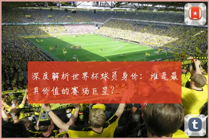 深度解析世界杯球员身价：谁是最具价值的赛场巨星？