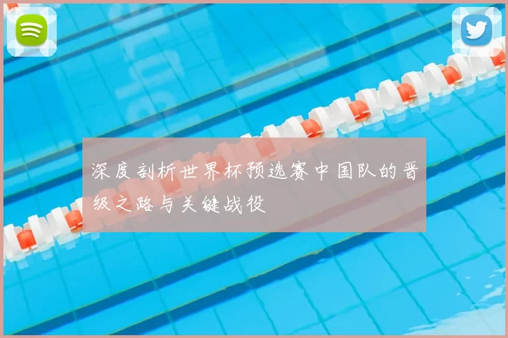 深度剖析世界杯预选赛中国队的晋级之路与关键战役
